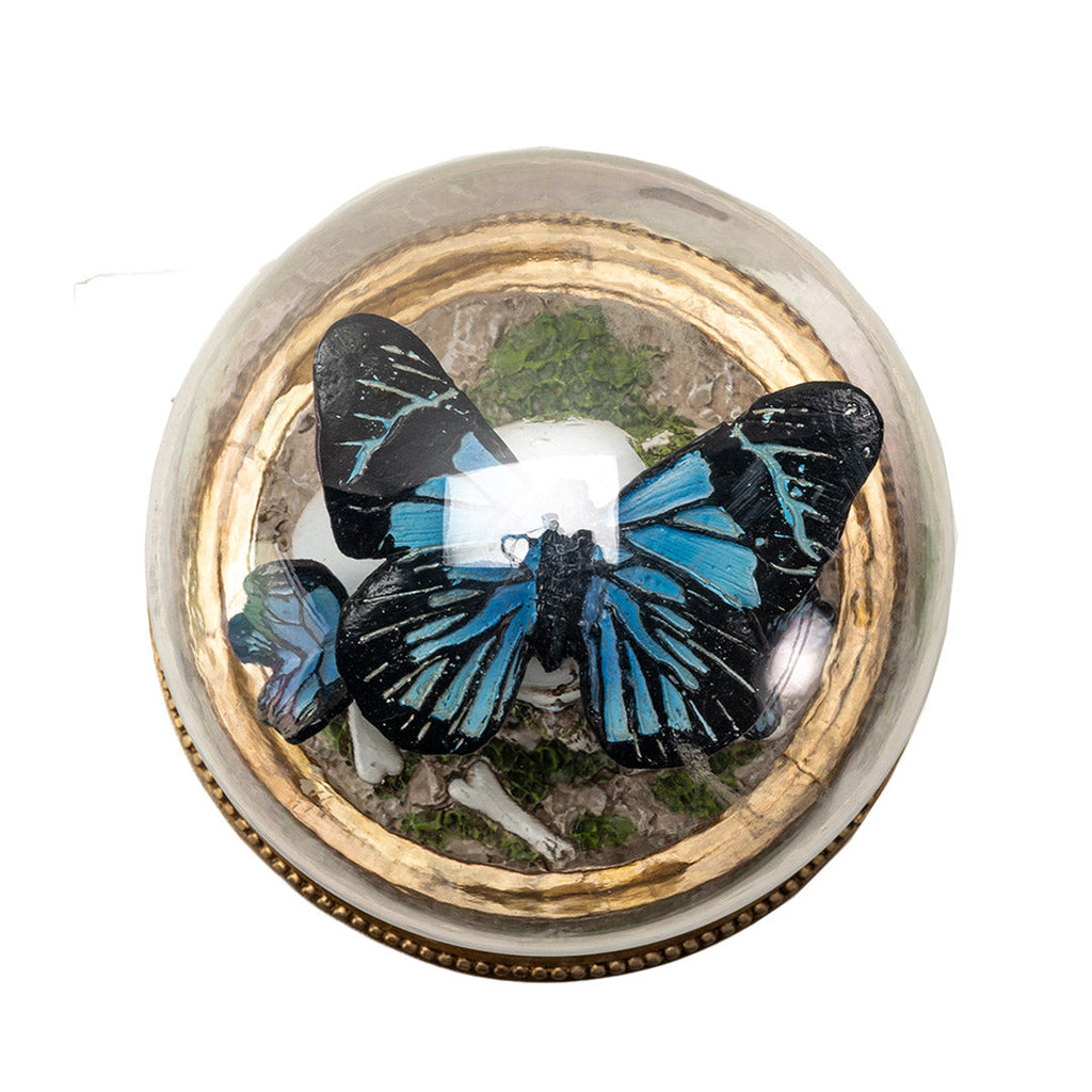 Butterfly Skull Cloche