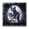 Paracelsus Coaster