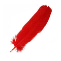 Red Feather 12"