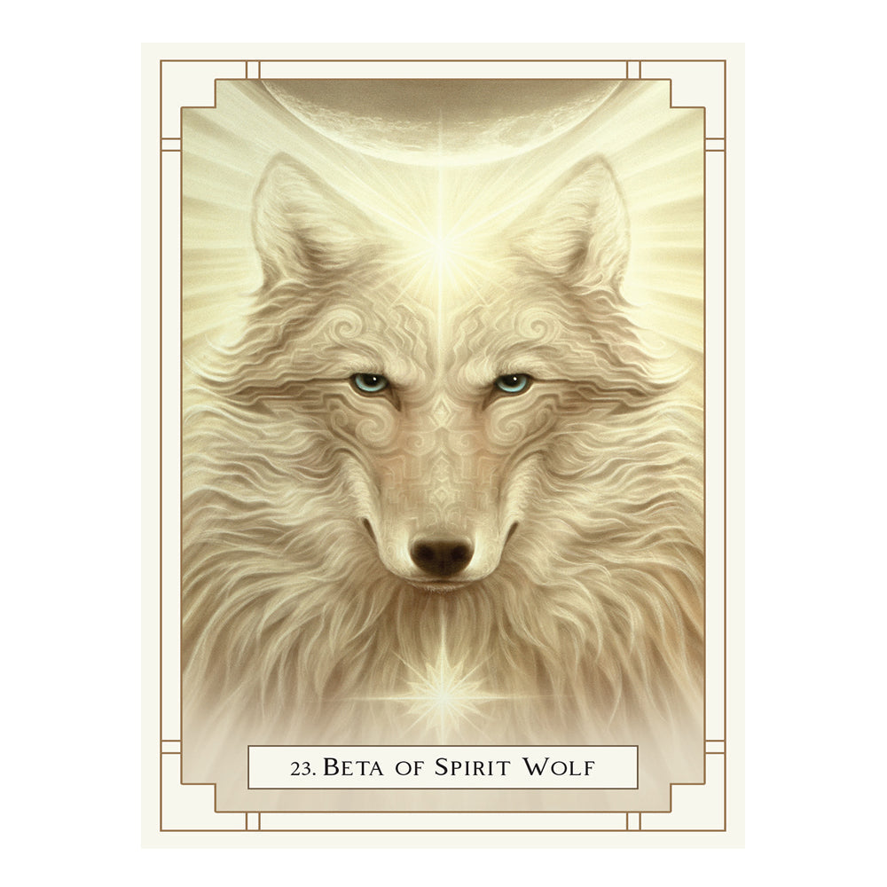 White Light Oracle
