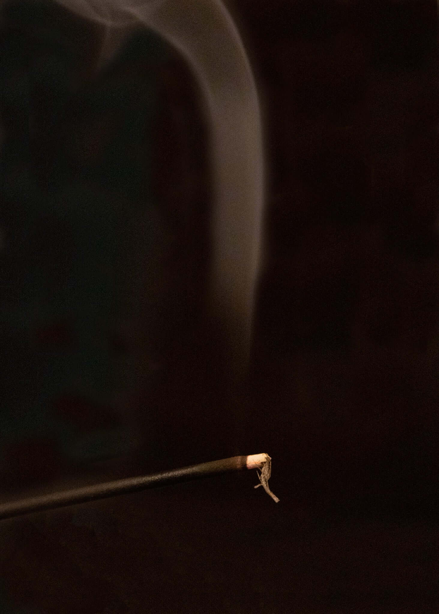 Palo Santo Incense Sticks