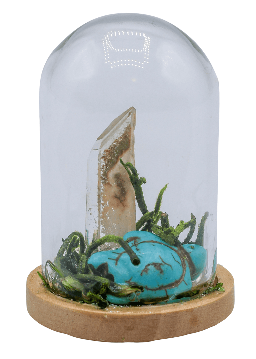 Garden Quartz Terrarium in Glass Dome